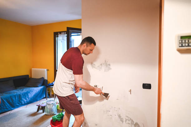 Best Attic Mold Remediation in Los Chaves, NM